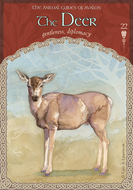 The Wisdom of Avalon Oracle Cards